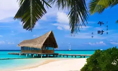 上午九点五十分出生的人命运如何呢(6)