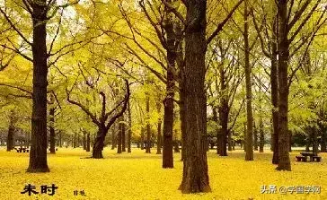 上午九点五十分出生的人命运如何呢(7)
