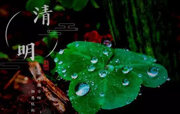 闰二月清明能上坟吗为什么不能上坟(2)