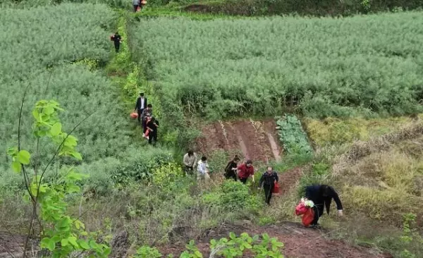 闰二月清明能上坟吗为什么不能上坟(3)