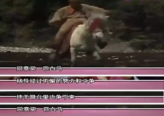 西游记向玲怎么没见动静(14)