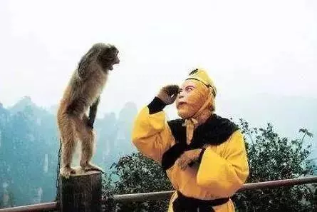西游记向玲怎么没见动静(27)