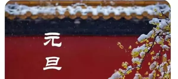 2029年属兔的人的全年运势如何看呢女孩(1)