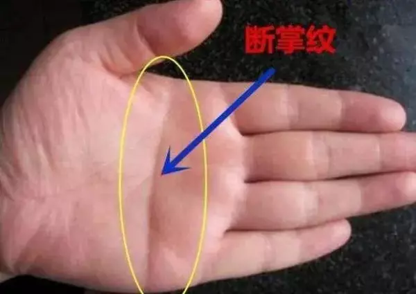 双手断掌纹的女人命运怎么样 好吗(1)