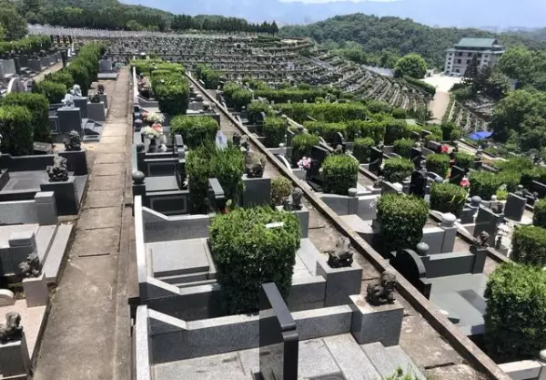 梦到坟墓上有马蜂窝啥意思周公解梦(5)