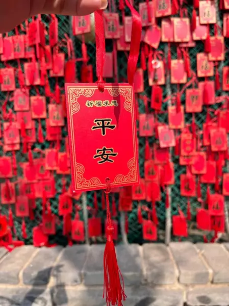 虎年出生的男孩子几月出生最好命运呢(2)