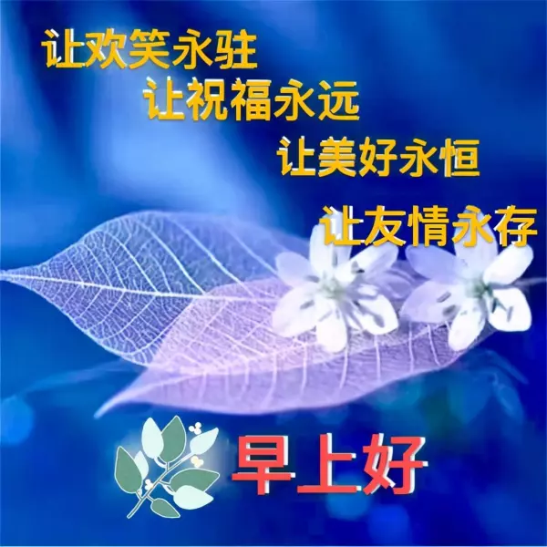 2021年5月26日什么生肖冲什么生肖(8)