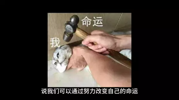 你的选择决定了自己命运英文翻译怎么写(1)