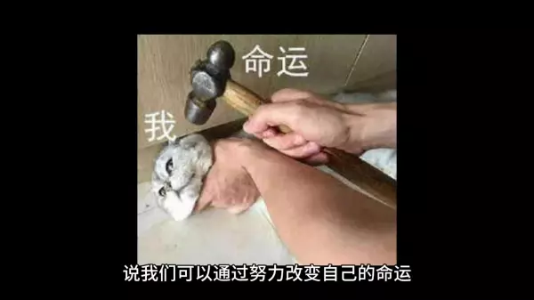 你的选择决定了自己命运英文翻译怎么写(2)