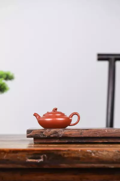邓翠萍紫砂壶怎么样(19)