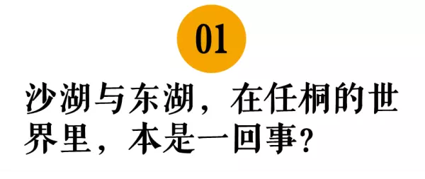 任桐这个名字怎么样(1)