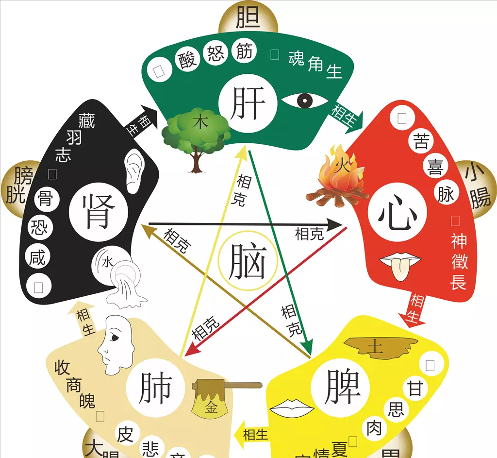 八字算命天干地支的苗和根的关系(2)