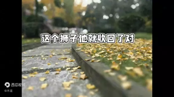 狮子座女孩25岁以后的感情运势怎么样(1)