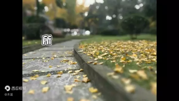 狮子座女孩25岁以后的感情运势怎么样(3)