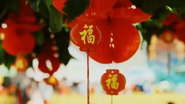 算命的说我缺少聚宝盆什么意思啊怎么回事(6)