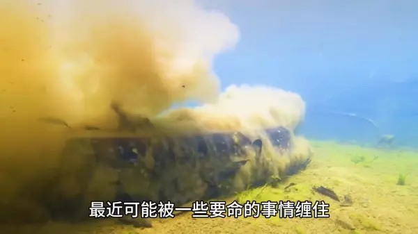 做梦蛇以朋友缠身是什么预兆周公解梦(3)
