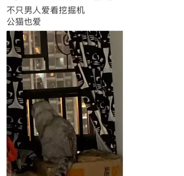 安语可以是男孩名字吗(28)