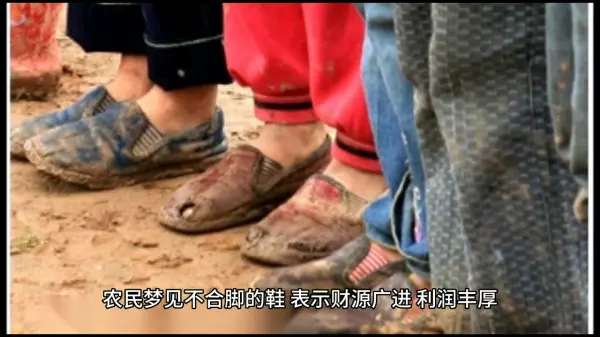 梦见自己穿一双新棉鞋啥意思啊周公解梦女人(3)
