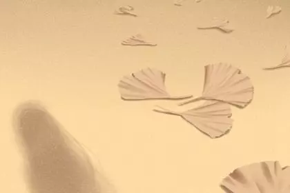 1992年农历二月十七出生人运势好不好呢(1)