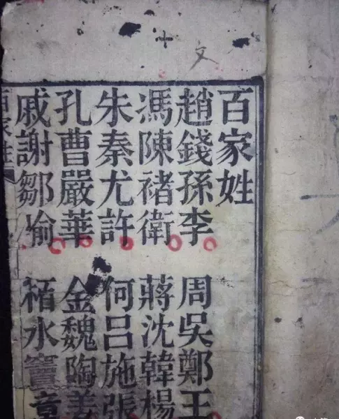 诸的拼音姓氏怎么读(7)