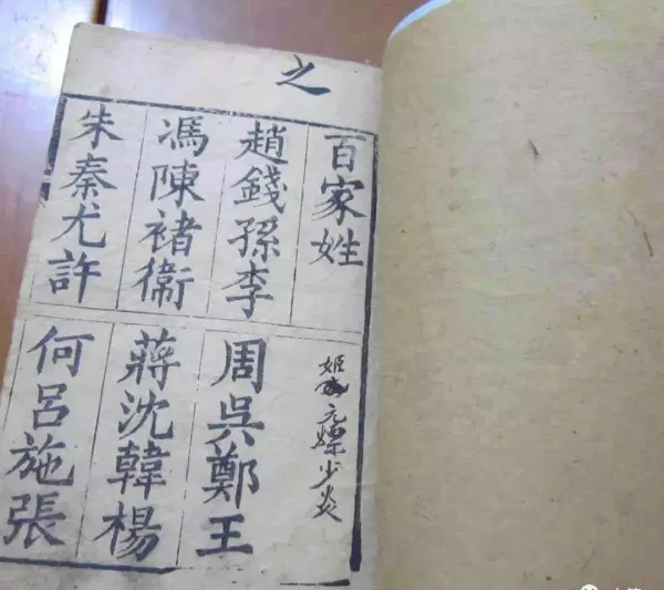 诸的拼音姓氏怎么读(9)