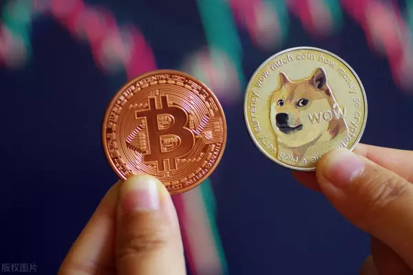 70年的狗在2021年的运势如何呢(3)