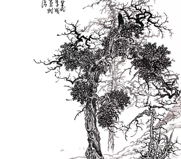 梦见哑巴会说话了是什么兆头呀周公解梦女人(1)