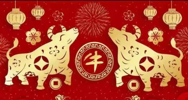 甲午年生人在2021年运势如何(2)