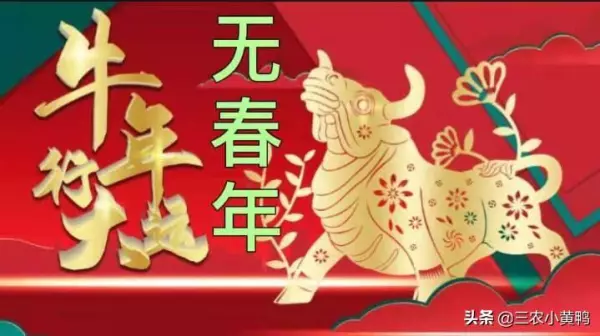 甲午年生人在2021年运势如何(5)