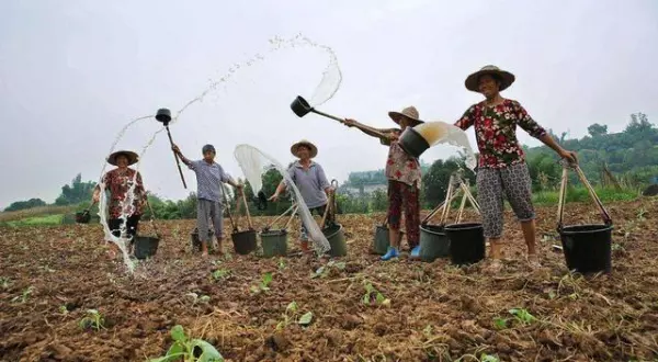 甲午年生人在2021年运势如何(8)