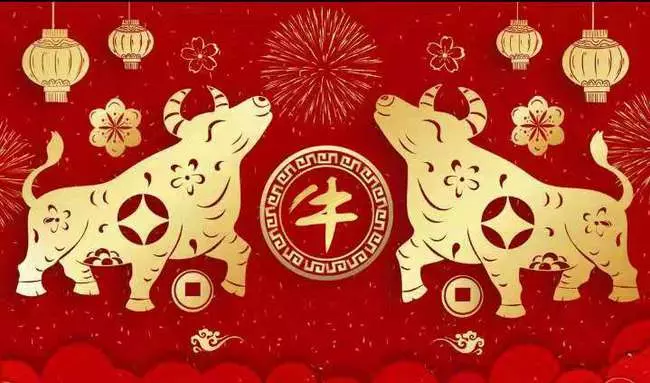 2021年11月11日属什么生肖(1)