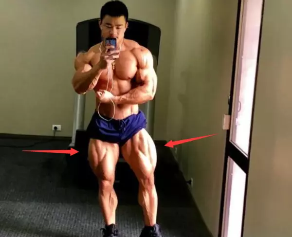 陈康健体哪个学校毕业(3)