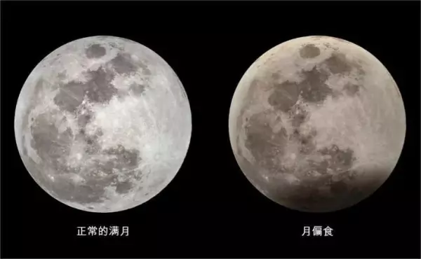 天蝎座和射手11月份的爱情运势怎样呢(11)