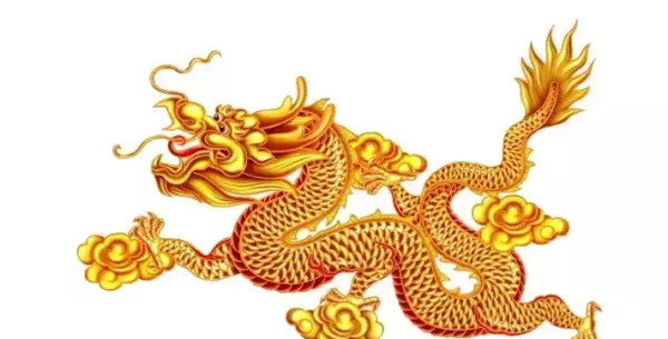 为什么身边属龙的朋友命运都很惨呢(13)