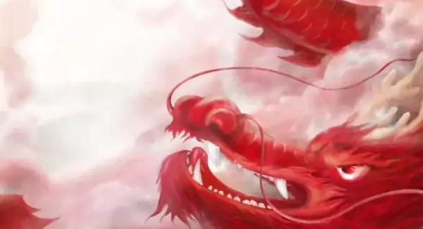 为什么身边属龙的朋友命运都很惨呢(14)