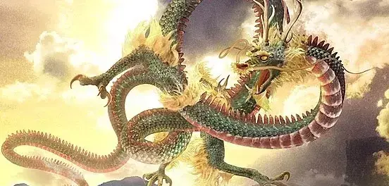 为什么身边属龙的朋友命运都很惨呢(8)