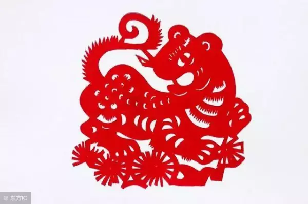 金木水火土属虎几月出生最好命运呢(2)