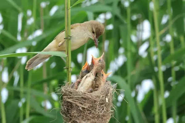 梦见和老公吵闹离婚了什么意思周公解梦(6)