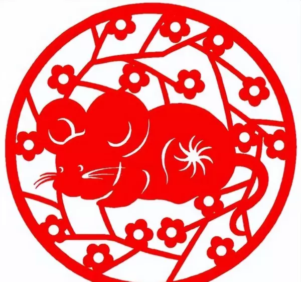 孕妇梦到猫和狗抓老鼠什么意思周公解梦(2)