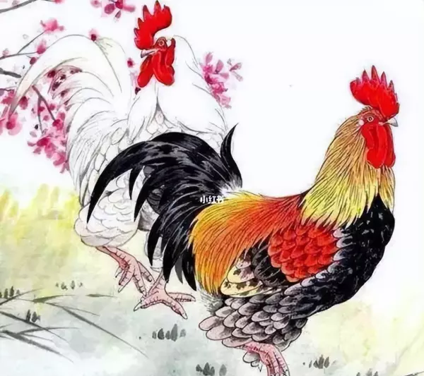 2020年十二月生人的命运如何呢(6)