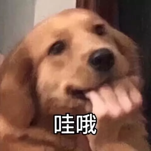 2023男孩子取名字大全(8)