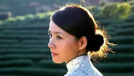 那金花和她的女婿演员何琳(17)
