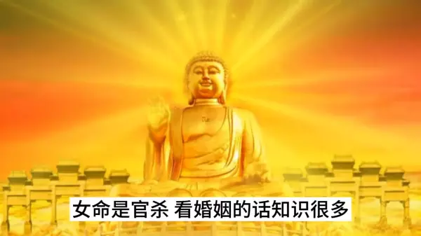 八字婚姻宫与配偶宫的区别是什么(1)
