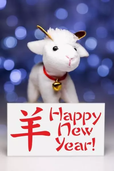 属羊女孩生于农历正月十五的命运怎么样(6)