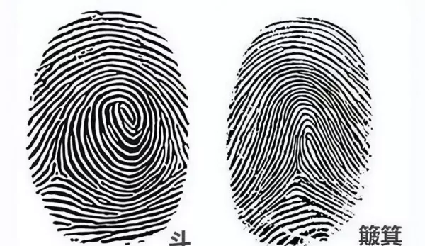 手上有三个斗的女人命运怎么样(1)