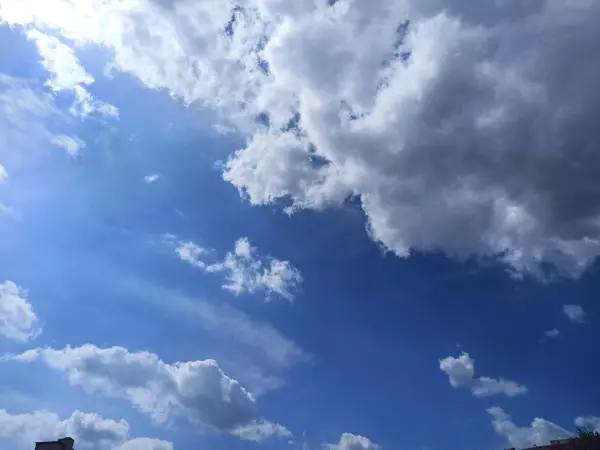 梦到自己打小猫崽啥意思周公解梦(1)