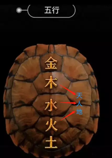 为什么用龟壳占卜 占卜的有趣故事不能说(2)