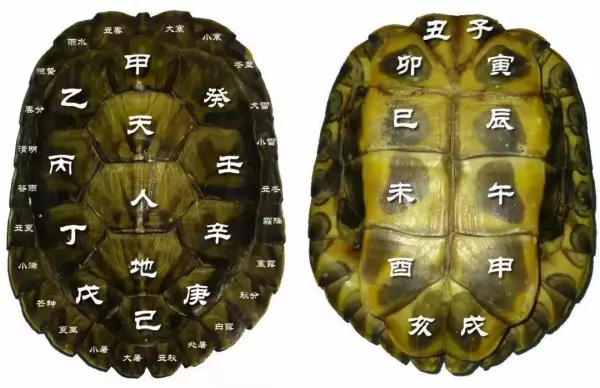 为什么用龟壳占卜 占卜的有趣故事不能说(3)