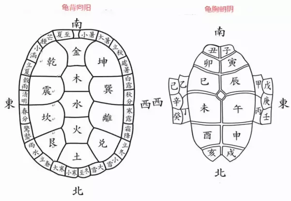 为什么用龟壳占卜 占卜的有趣故事不能说(4)