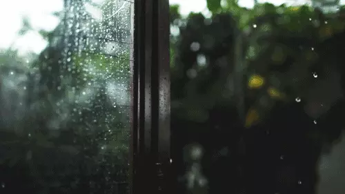 算命的说不生二胎会离婚嘛是真的吗还是假的(11)